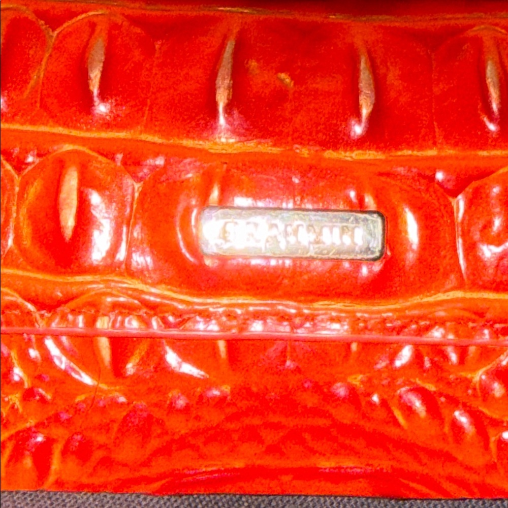 Brahmin Elora Eyeglasses Case - Picture 8 of 13